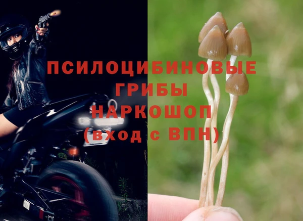 MDMA Майский