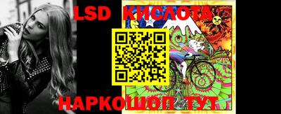 крисы Аргун