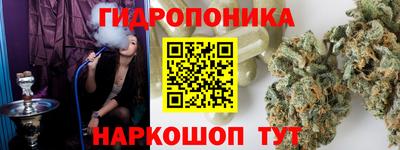 шишки Краснознаменск