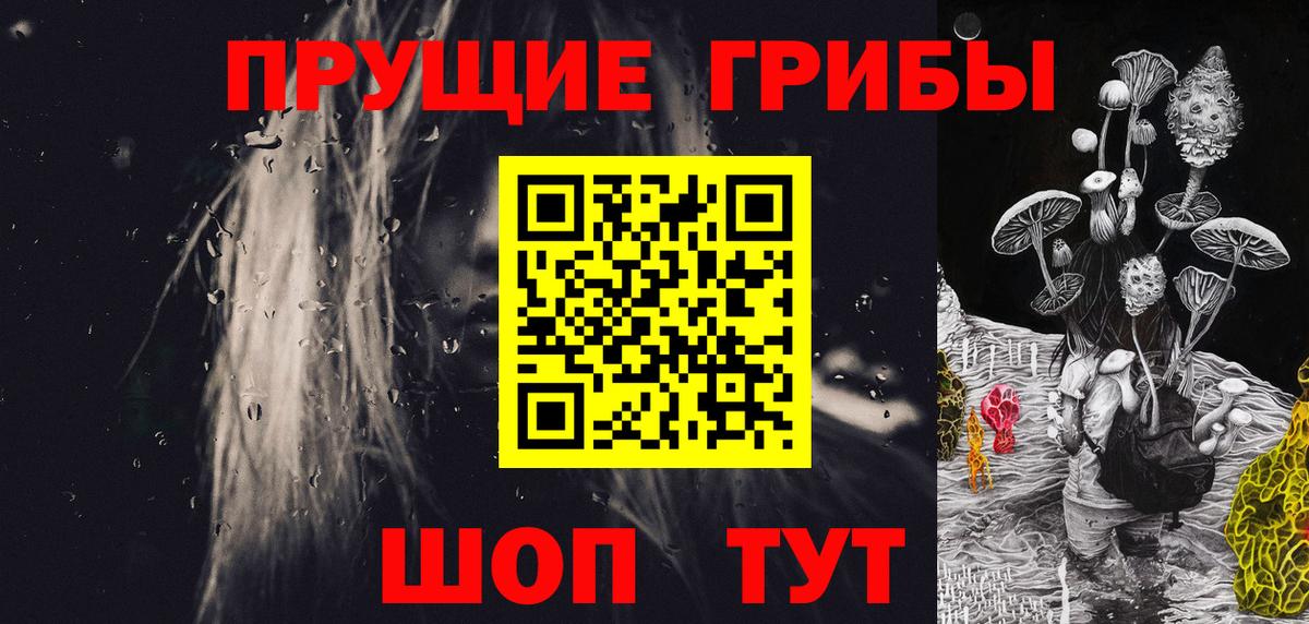 Галлюциногенные грибы Psilocybine cubensis Чернушка