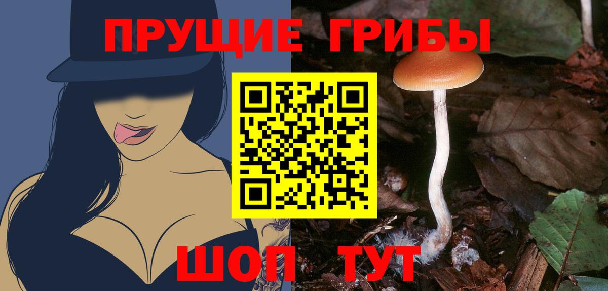 где продают   Псилоцибиновые грибы ЛСД  Вход с VPN  Чернушка 