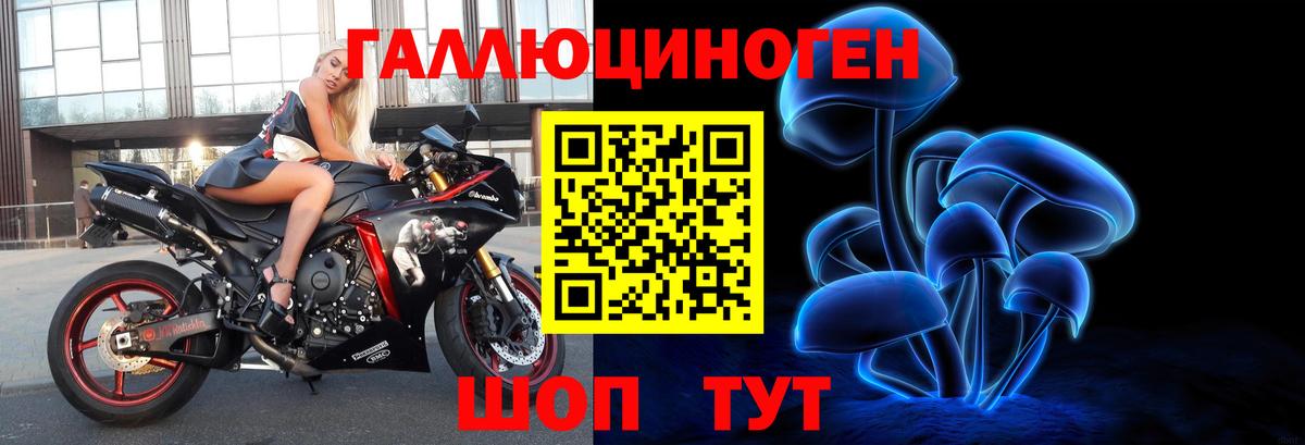 Псилоцибиновые грибы MAGIC MUSHROOMS Чернушка